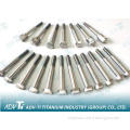 Titanium Bolts Fastener